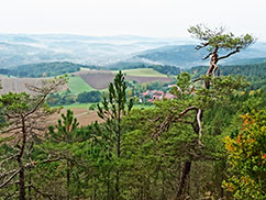 Ferienhaus - Haus Ulla