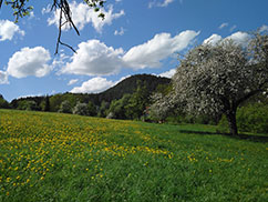 Ferienhaus - Haus Ulla